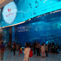 Riesengro&szlig;es, wundersch&ouml;nes Aquarium in der weltber&uuml;hmnten Dubai - Mall.